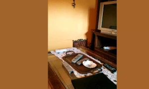 pisica webp