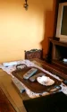 pisica webp