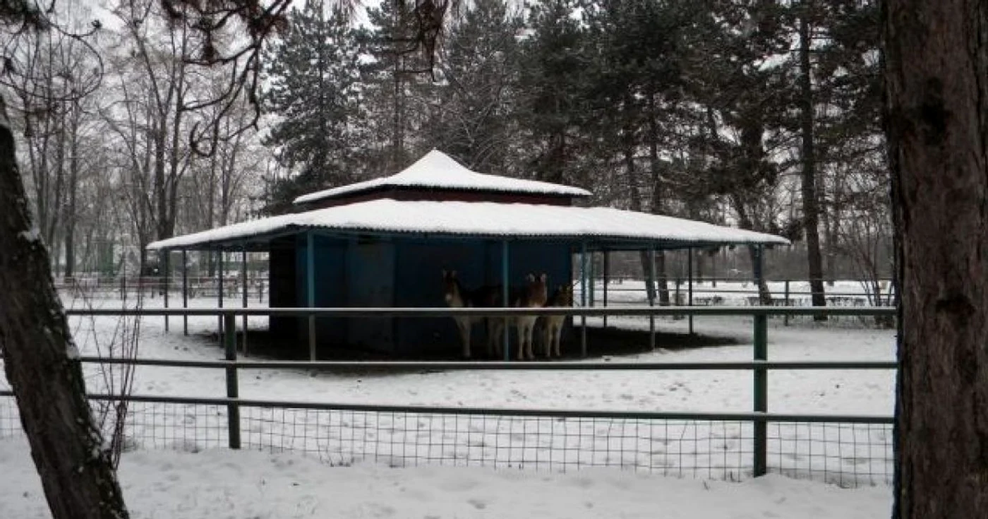 Ediţia din acest an va cuprinde cel mai mare număr de animale protejate din Republica Moldova, de până acum.
