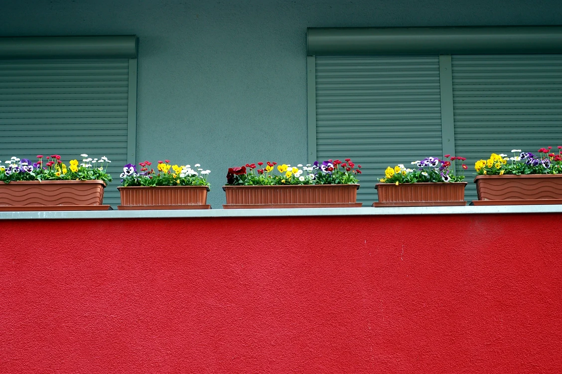 Cea mai mare platformă imobiliară din SUA dezvălui culoarea care crește valoarea casei. Foto:Pixabay