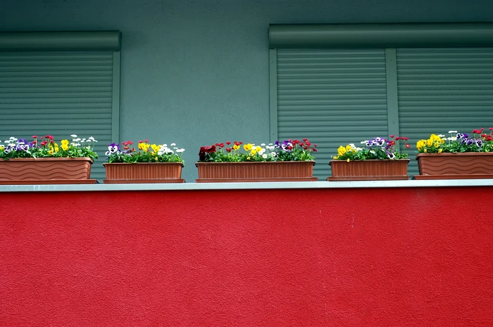 Cea mai mare platformă imobiliară din SUA dezvălui culoarea care crește valoarea casei. Foto:Pixabay