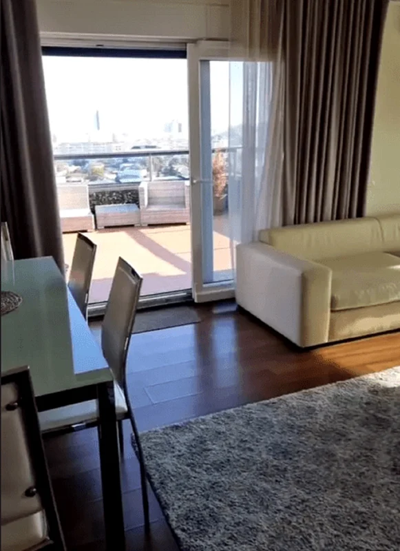 Apartament Carmen Brumă și Mircea Badea