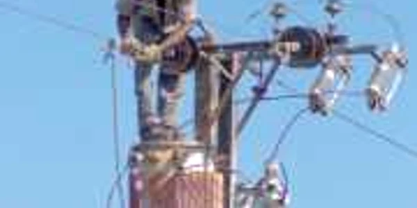Filialele Electrica, privatizate cu investitori strategici