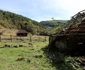 Ponorici Munții Șureanu Foto Daniel Guță ADEVĂRUL (18) JPG
