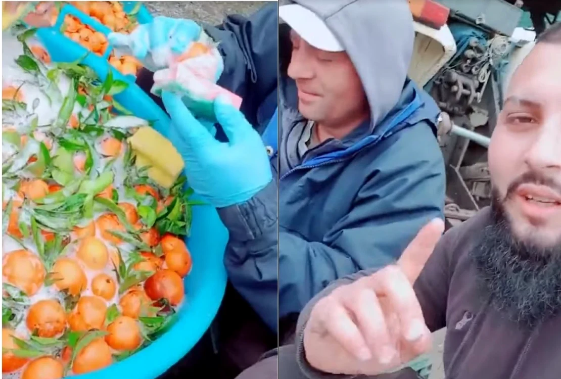 Captură video