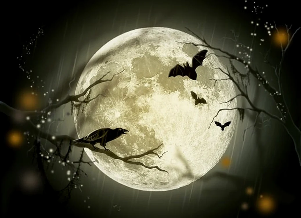 Super Luna / foto: Pixabay