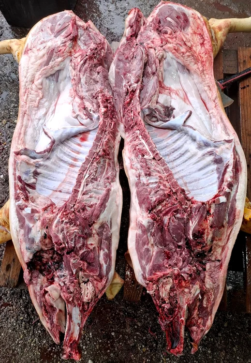 Porc tăiat pe jumătate, cu cap cu tot, pus pe un palet de lemn