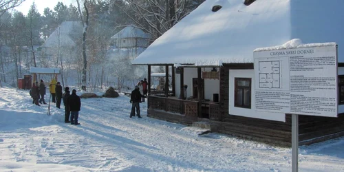 Muzeul Satului Bucovinean