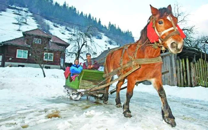 Turiştii care aleg Bucovina vor avea parte de o vacanţă tradiţională, inclusiv de plimbări cu sania trasă de cai    FOTO: Adevărul