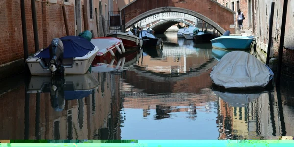venetia foto dana mihai