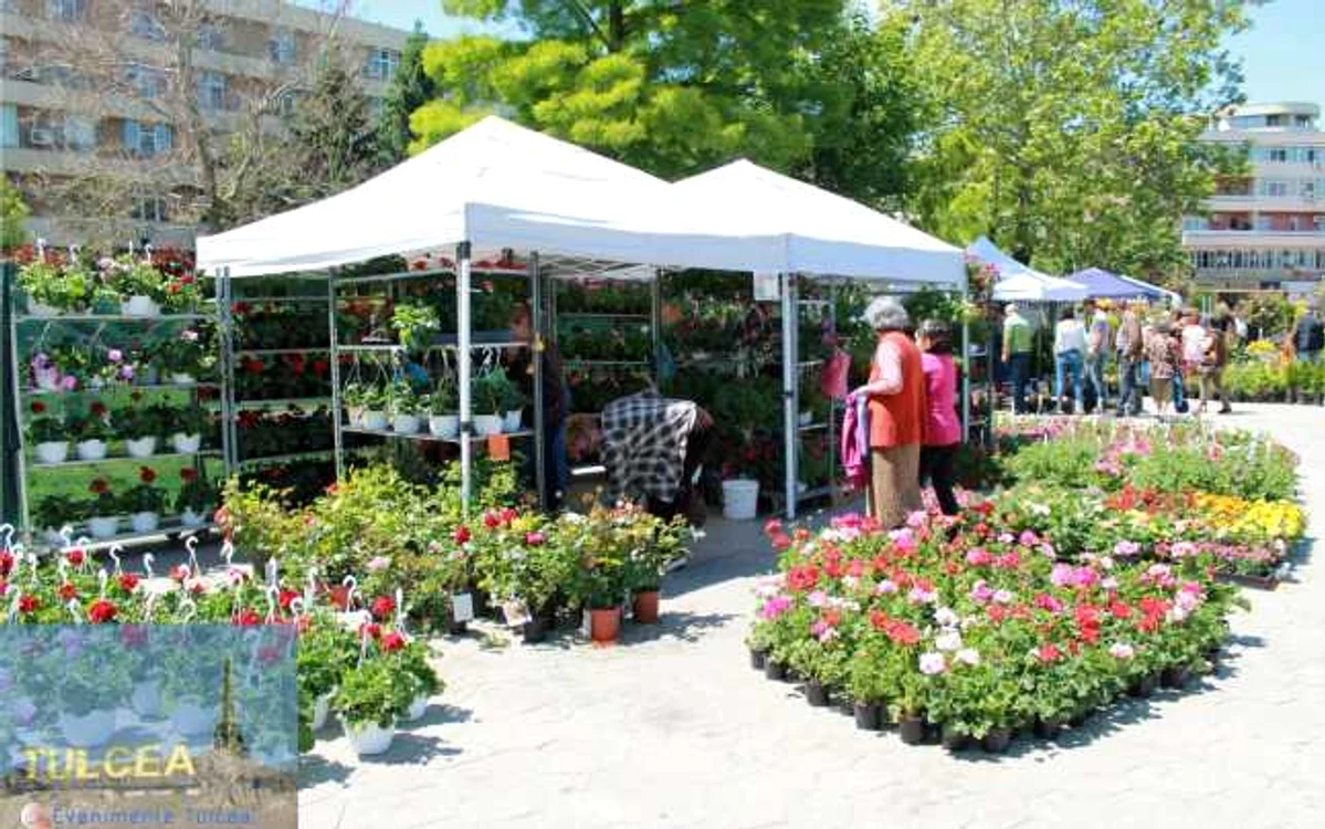 Expoziţie de flori FOTO Evenimente Tulcea