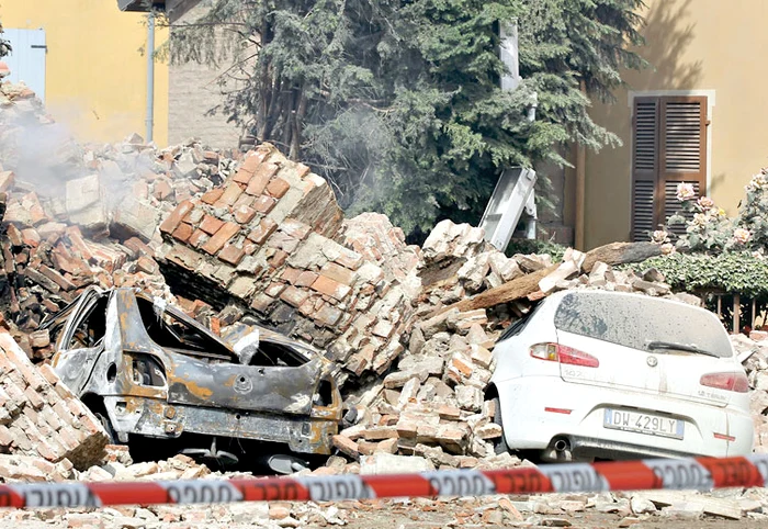 Mistreţul putea fi ucis  de un copac picat peste el