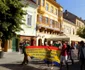 protest paduri sibiu 7.06.2015