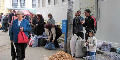 Pieţele din Botoşani sunt invadate de vânzători de ciuperci