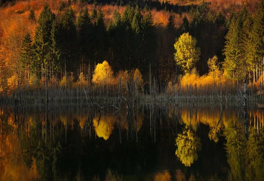 Tânăr de 18 ani din România, printre câștigătorii concursului internațional Travel Photographer of the Year 2024