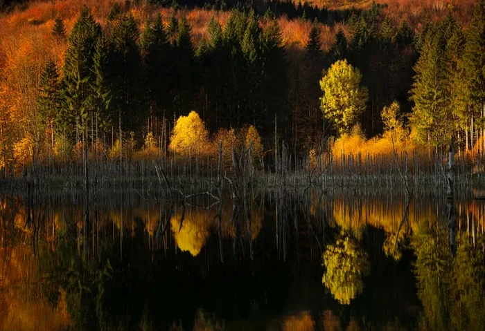 Fotografie realizată de Vlad Păuleț - Travel Photographer of the Year 2024. FOTO: tpoty.com