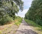 Pista de bicicletă Serbia FOTO Ștefan Both