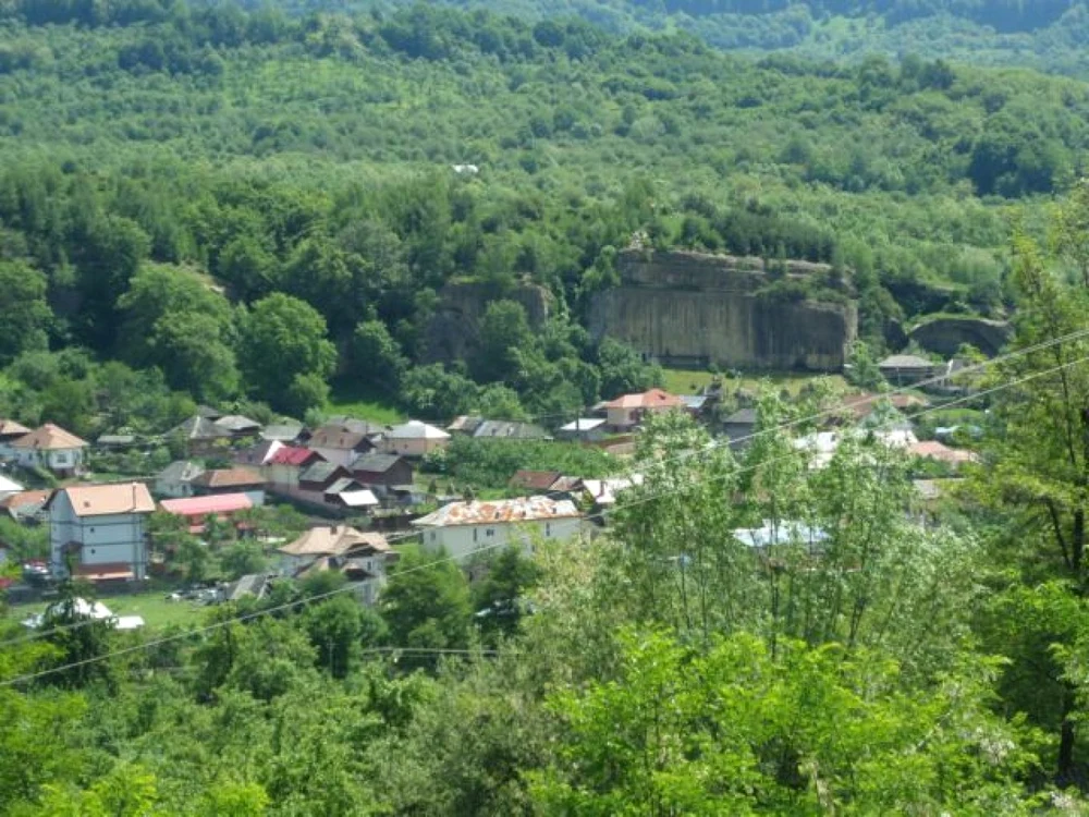 peisaj corbi