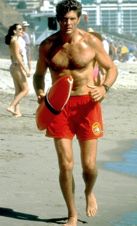 the hoff jpg jpeg