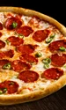 pizza diavola  bogonet jpeg
