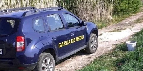 masina garda mediu