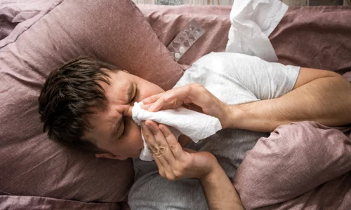 shutterstock 2278002809 jpg