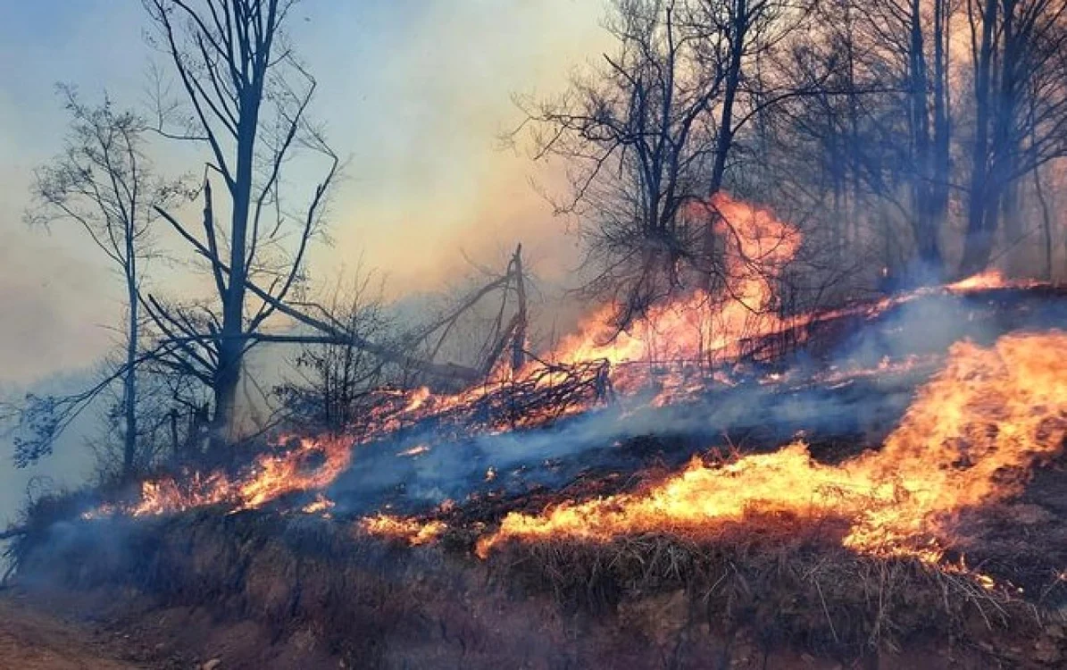 FOTO: ISU Hunedoara.