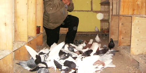 Radu Pinca 