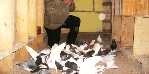 Radu Pinca 