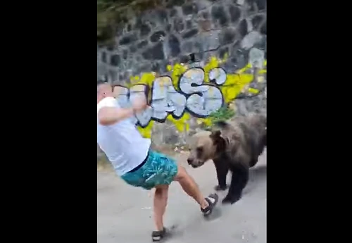 Tânărul inconștient s-a apropiat de urs pentru a-l fotografiaFoto: Captură Video