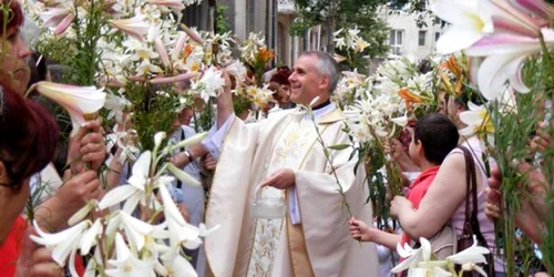 Sărbătoarea crinului la Constanţa - 13 iunie - Ziua Sfântului Anton de Padova considerat sfântul minunilor Foto sfantul-anton.ro