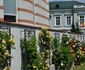 Amenajări florale pe străzile şi în parcurile din Râmnicu Vâlcea Foto Primăria Râmnicu Vâlcea