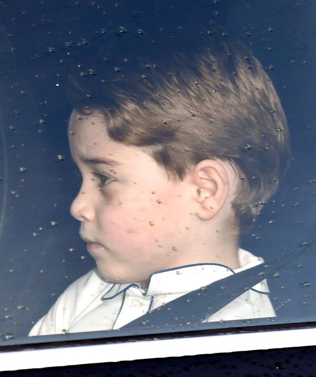 5 profimedia 0488784896 1 jpg jpeg