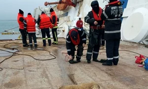 nava oi port midia jpeg
