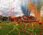 Corvinul Hunedoara Foto Daniel Guță ADEVĂRUL (109) JPG