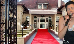 Banner Mărul de Aur