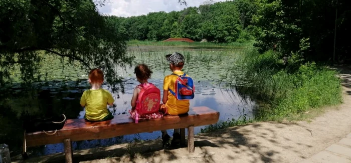 Drumul către lacul cu nuferi FOTO Cosmin Zamfirache