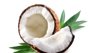 cocos jpeg