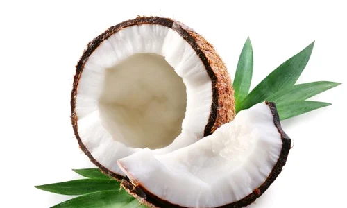 cocos jpeg