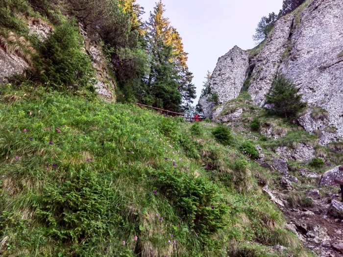 Zona în care a decedat turistul din Bucureşti FOTO Salvamont Neamţ