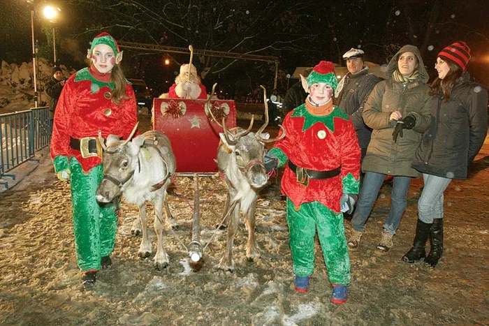 
    Toto şi Luna sunt închiriaţi pentru distracţia copiilor  
