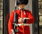4 guard1 jpg jpeg