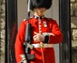 4 guard1 jpg jpeg