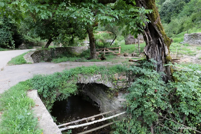 Fărășești / foto: Daniel Guță / Adevarul