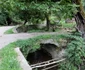 Fărășești Foto Daniel Guță ADEVĂRUL (5) JPG