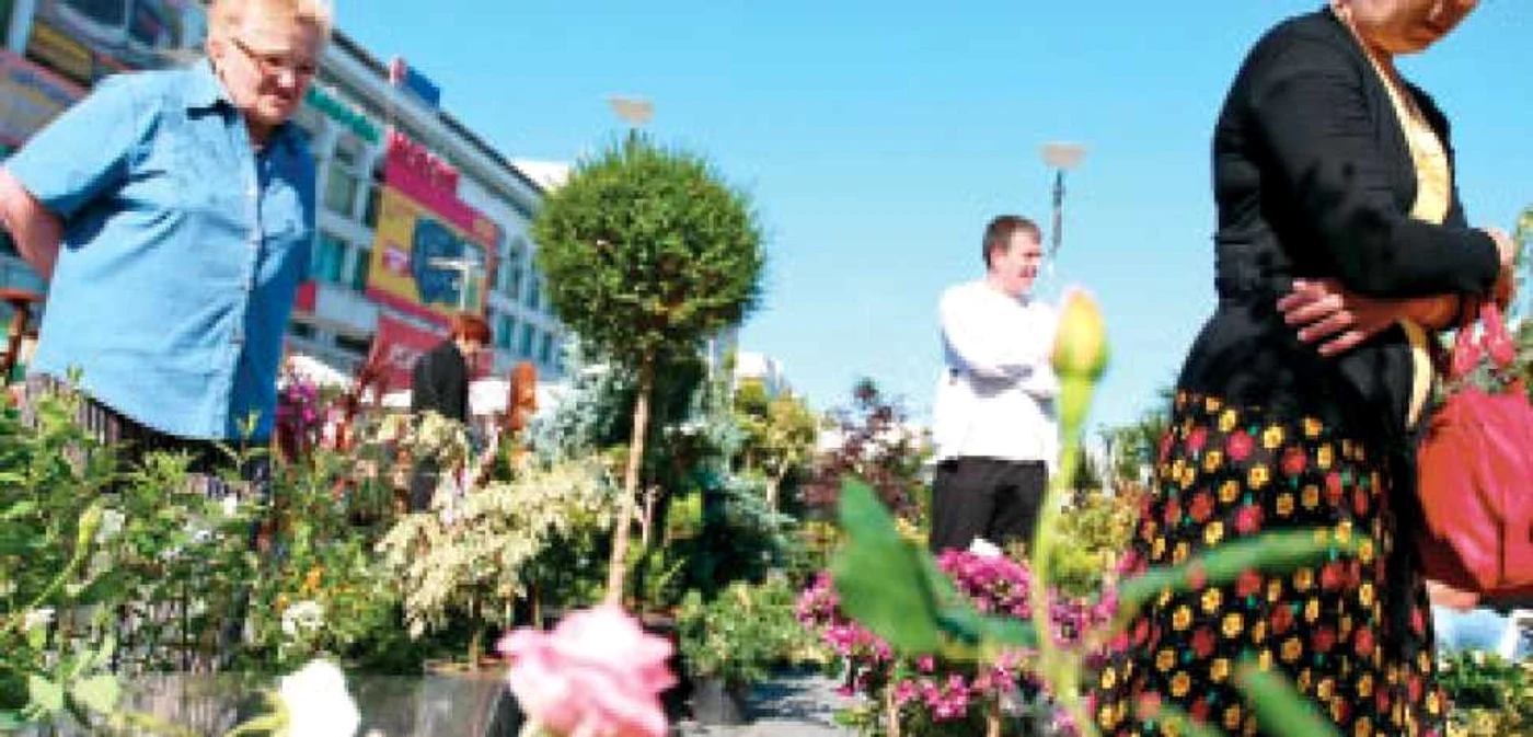 Judeţ cu judeţ:Drumul forestier care face legătura între cartierele Trivale şi Găvana din Piteşti va fi asfaltat