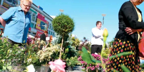 Judeţ cu judeţ:Drumul forestier care face legătura între cartierele Trivale şi Găvana din Piteşti va fi asfaltat