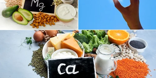 Vitamina D rămâne inactivă iar calciul nu se absoarbe corect fără un aport adecvat de magneziu Colaj DMS