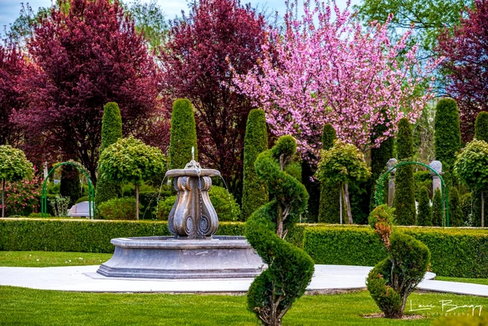 I Giardini di Zoe, FOTO igiardinidizoe.ro