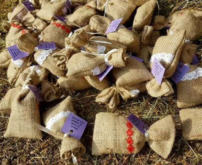 lavanda 2
